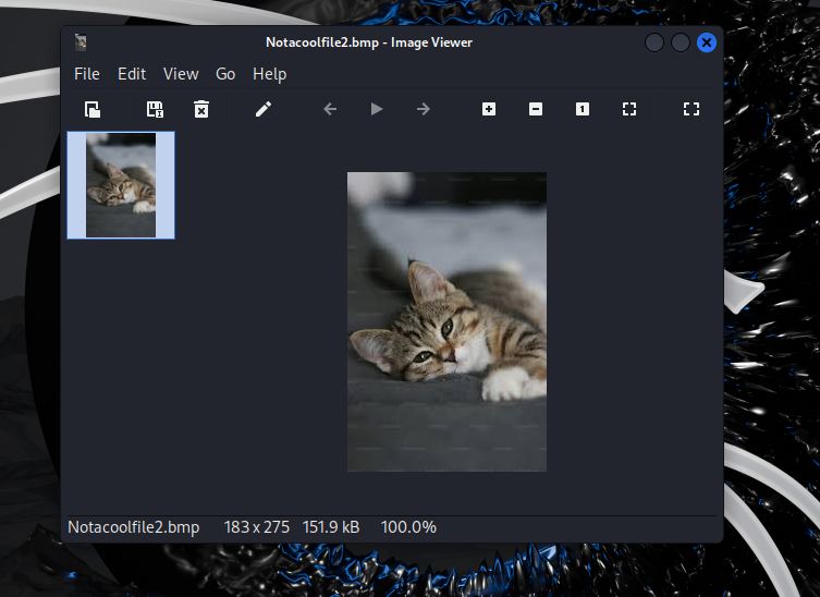 An ordinary-looking cover image that conceals an AES-encrypted payload via OpenStego